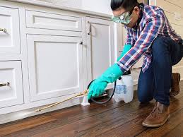 Best Real Estate Pest Inspections  in Suncoast Estates, FL